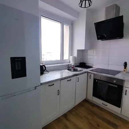 Apartament Przy Zamku Krzyzackim Malbork Zewnętrze zdjęcie